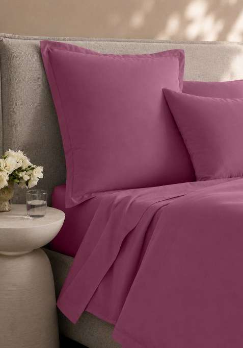 Plum Organic Crisp Percale Euro Sham
