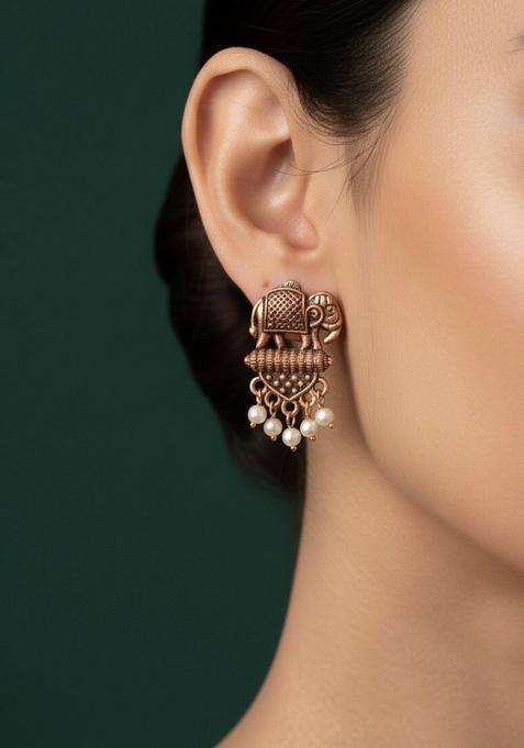 Copper Stainless Earrings